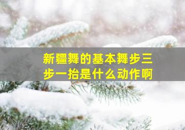 新疆舞的基本舞步三步一抬是什么动作啊