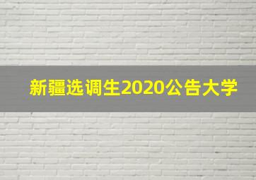 新疆选调生2020公告大学