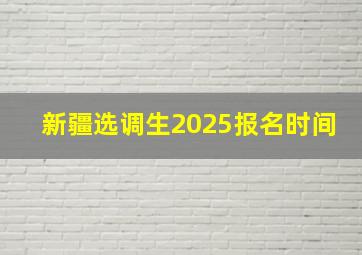 新疆选调生2025报名时间