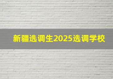 新疆选调生2025选调学校