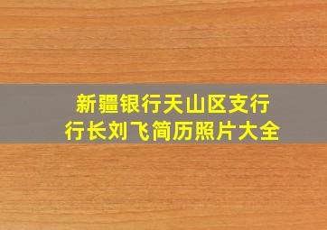 新疆银行天山区支行行长刘飞简历照片大全