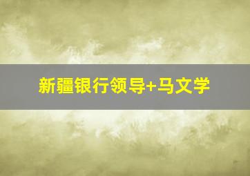 新疆银行领导+马文学