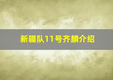 新疆队11号齐麟介绍