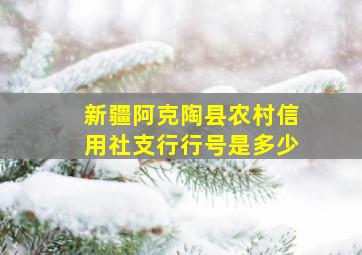 新疆阿克陶县农村信用社支行行号是多少