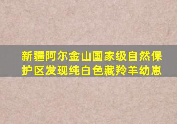 新疆阿尔金山国家级自然保护区发现纯白色藏羚羊幼崽