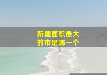 新疆面积最大的市是哪一个