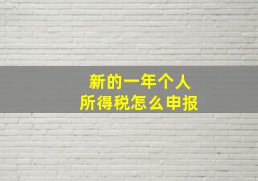 新的一年个人所得税怎么申报