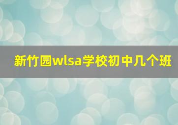 新竹园wlsa学校初中几个班