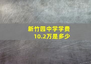 新竹园中学学费10.2万是多少