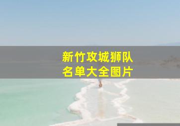 新竹攻城狮队名单大全图片