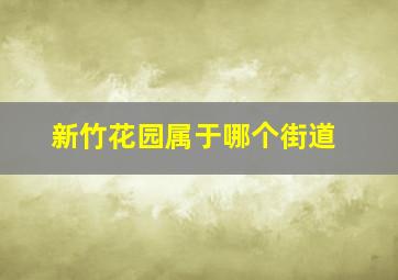 新竹花园属于哪个街道