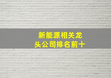 新能源相关龙头公司排名前十