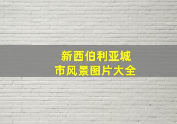 新西伯利亚城市风景图片大全