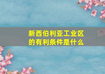 新西伯利亚工业区的有利条件是什么