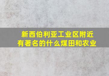 新西伯利亚工业区附近有著名的什么煤田和农业