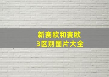 新赛欧和赛欧3区别图片大全