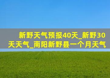 新野天气预报40天_新野30天天气_南阳新野县一个月天气