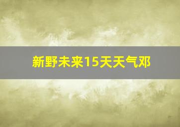 新野未来15天天气邓