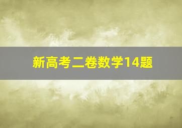 新高考二卷数学14题