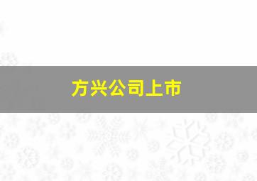 方兴公司上市