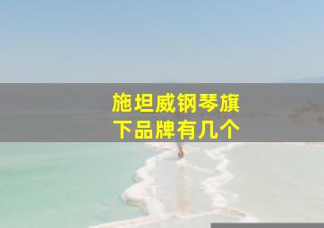 施坦威钢琴旗下品牌有几个