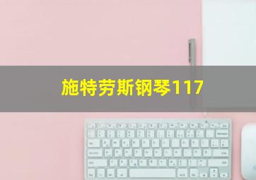 施特劳斯钢琴117