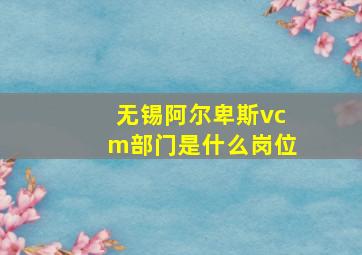 无锡阿尔卑斯vcm部门是什么岗位