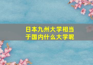 日本九州大学相当于国内什么大学呢