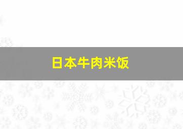 日本牛肉米饭