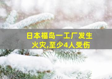 日本福岛一工厂发生火灾,至少4人受伤