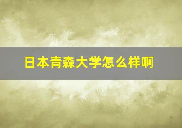 日本青森大学怎么样啊