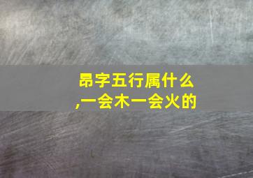 昂字五行属什么,一会木一会火的