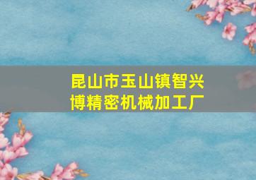 昆山市玉山镇智兴博精密机械加工厂