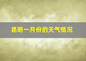 昆明一月份的天气情况