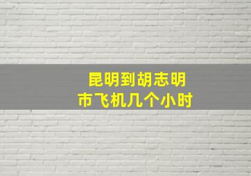 昆明到胡志明市飞机几个小时