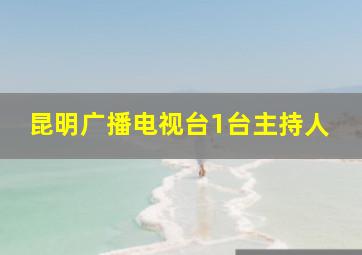 昆明广播电视台1台主持人