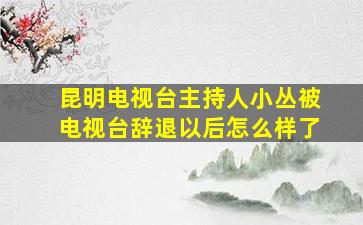 昆明电视台主持人小丛被电视台辞退以后怎么样了