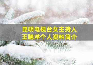 昆明电视台女主持人王晓洋个人资料简介