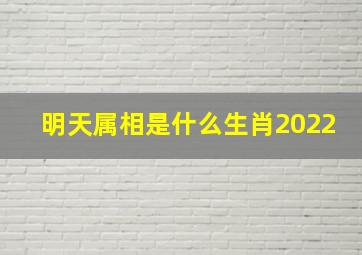 明天属相是什么生肖2022