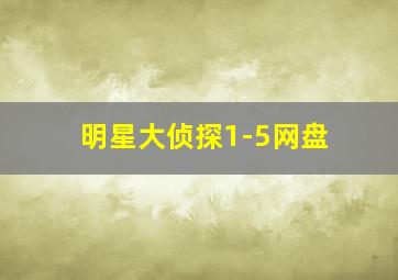 明星大侦探1-5网盘