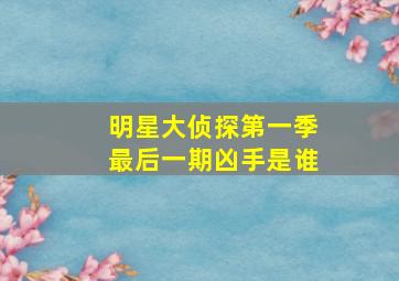 明星大侦探第一季最后一期凶手是谁