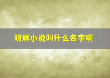 明辉小说叫什么名字啊