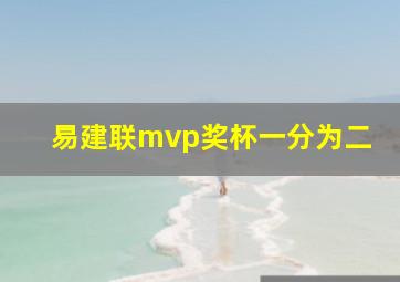 易建联mvp奖杯一分为二