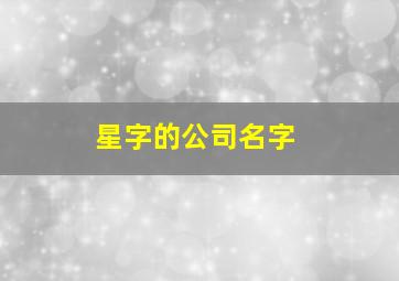 星字的公司名字