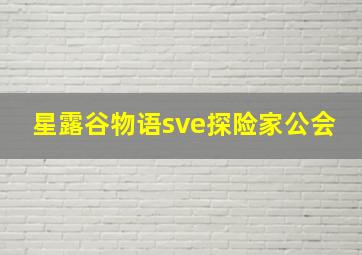 星露谷物语sve探险家公会