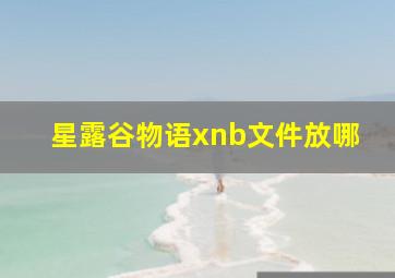 星露谷物语xnb文件放哪