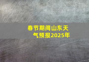 春节期间山东天气预报2025年