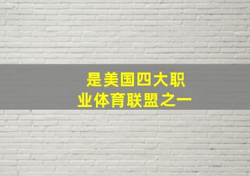 是美国四大职业体育联盟之一