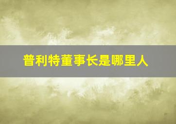 普利特董事长是哪里人