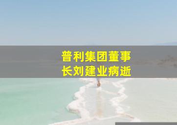 普利集团董事长刘建业病逝